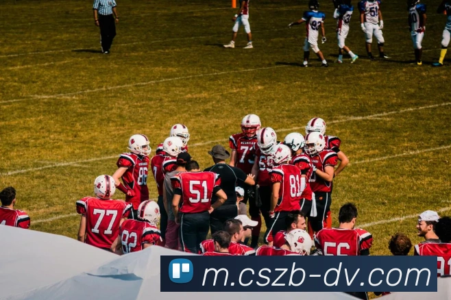 彩神争霸平台生态图