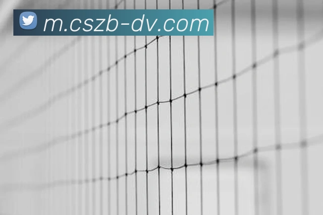 彩神争霸APP 封面图